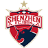 Shenzhen Ruby